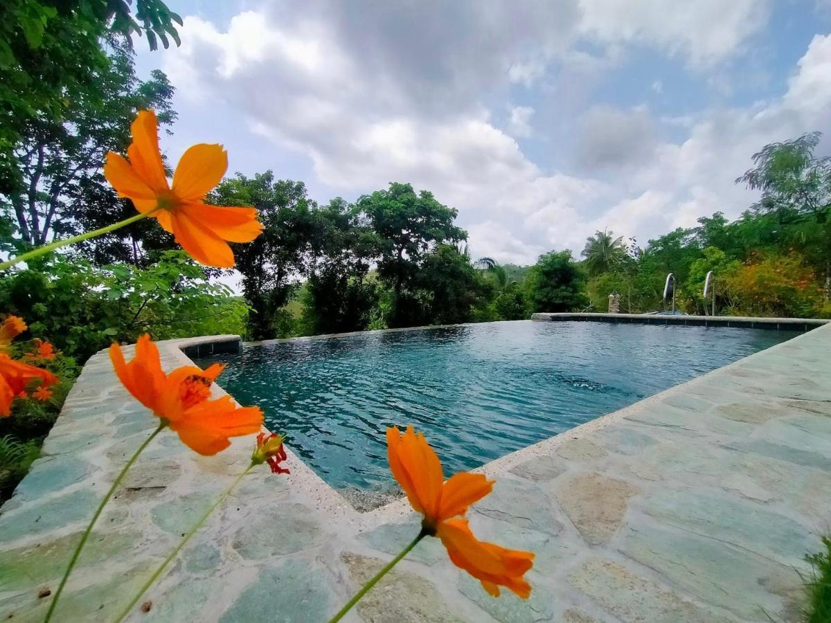 Marquis garden Eco-cottages Tayong Exterior foto