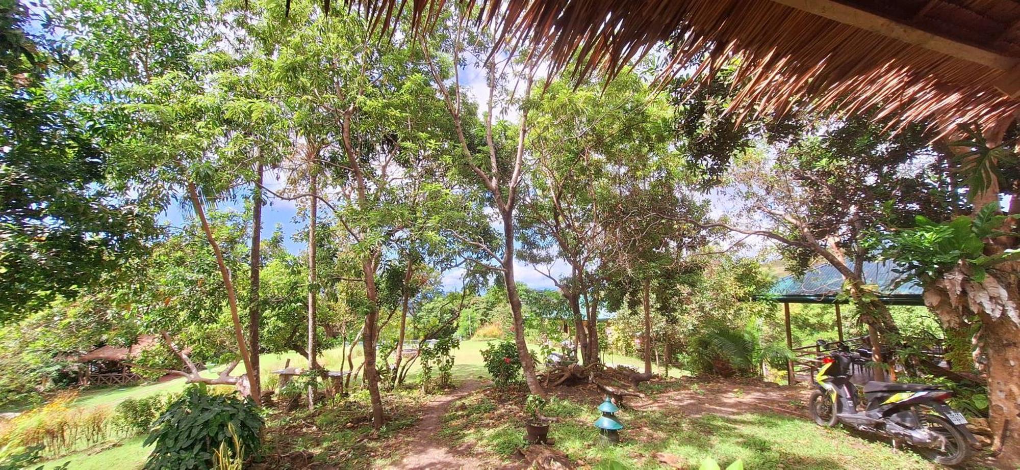 Marquis garden Eco-cottages Tayong Exterior foto